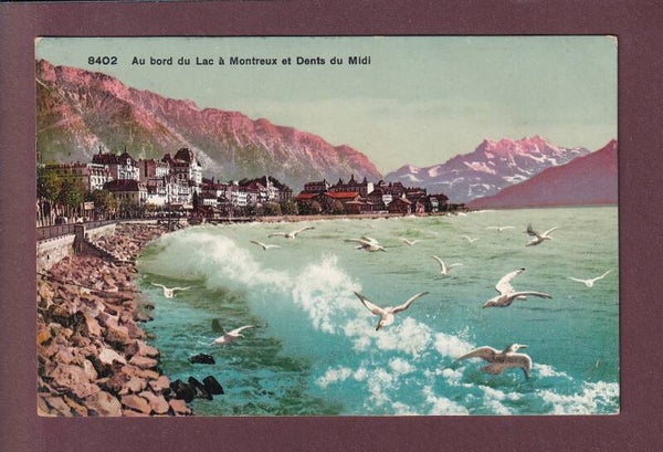 MONTREUX - Bord du lac - Mouettes - 1911