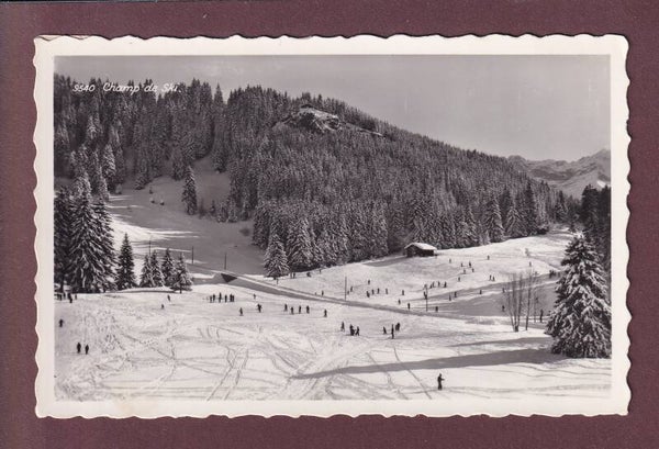 Champ de SKI