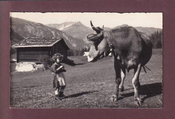 MÄDCHEN und KUH - Annäherungsversuch
