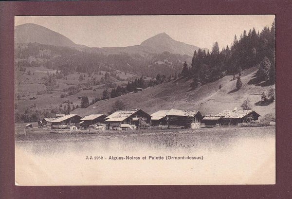 Ormont-Dessus - AIGUES-NOIRES et PALETTE
