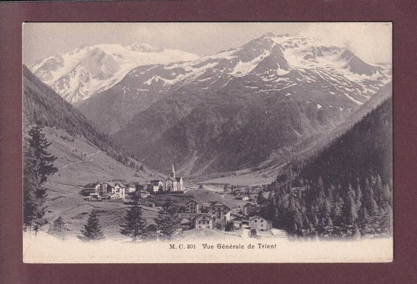 TRIENT - Vue générale