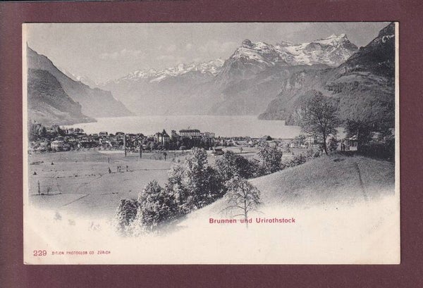 BRUNNEN - Urirotstock