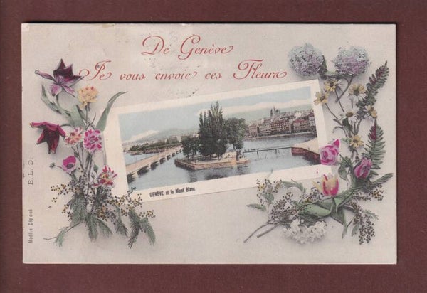 GENEVE - Fleurs - 1906