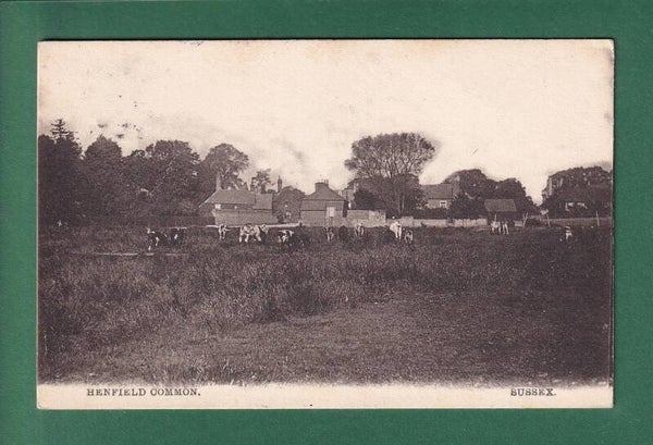 SUSSEX - Henfield Common - 1911