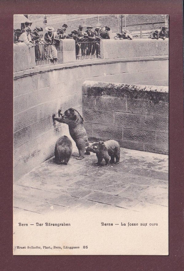 BERN - Bärengraben - 1905