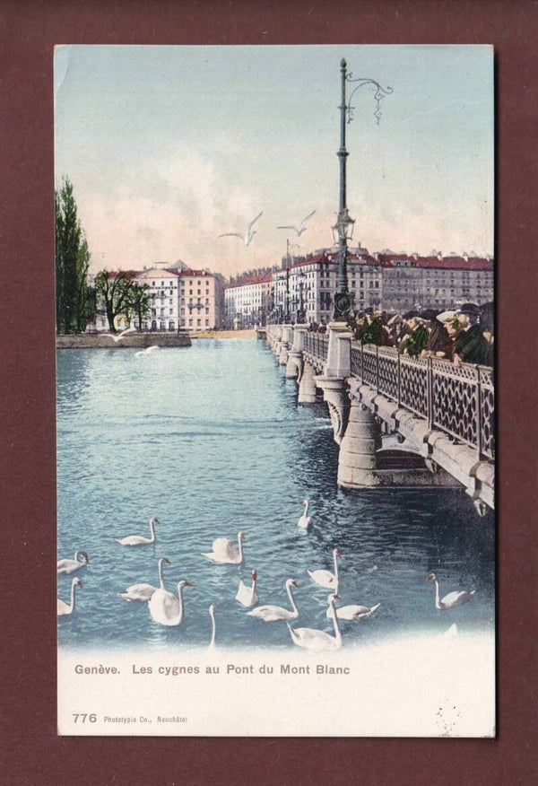 GENEVE - Les Cygnes au Pont du Mont-Blanc
