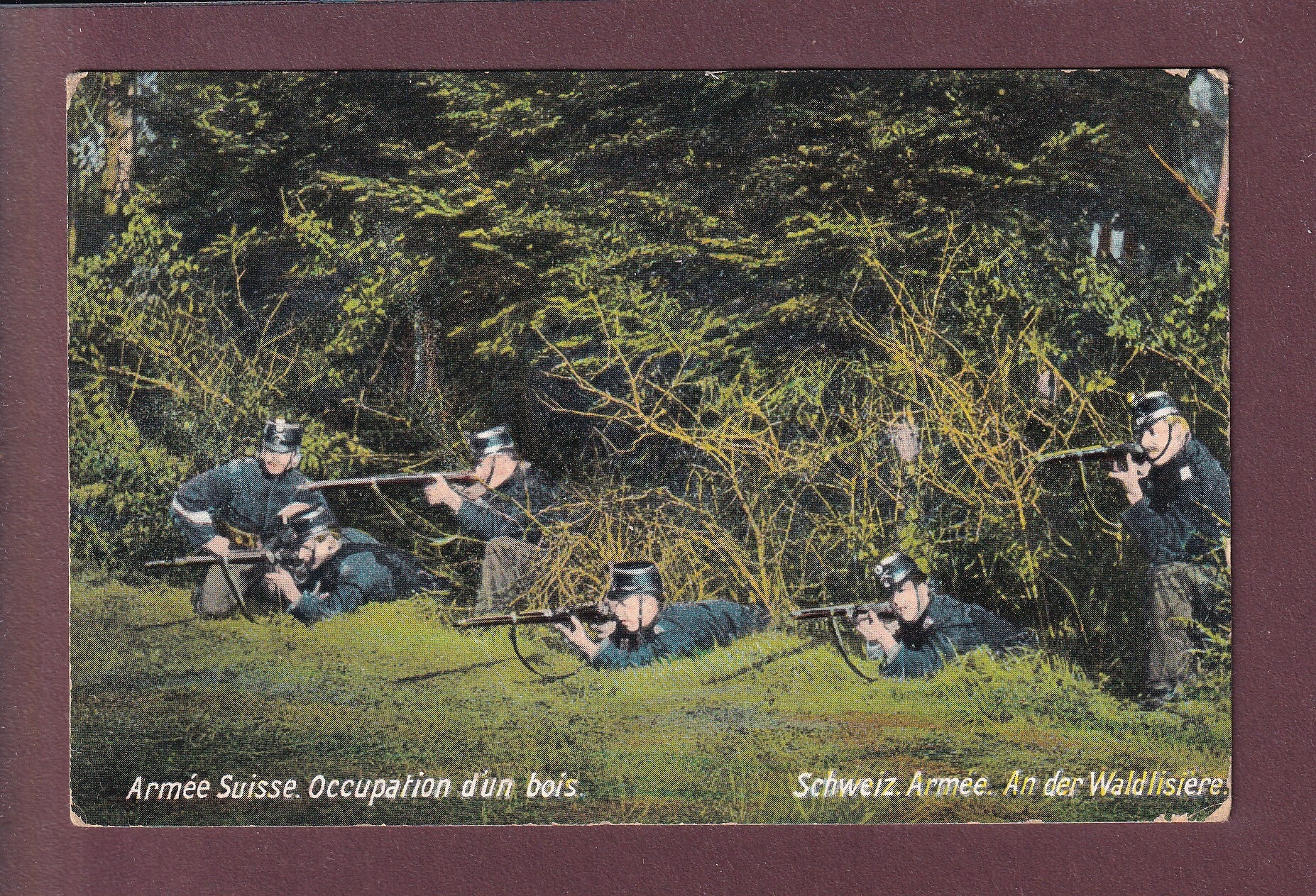 MILITAIRE - Armée suisse - Occupation d'un bois