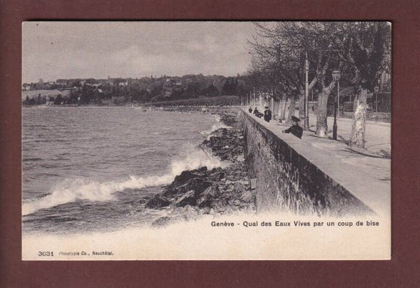 GENEVE - Quai des Eaux-Vives - Coup de Bise