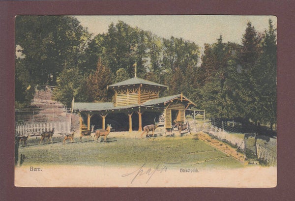 BERN - Hirschpark - 1904 // minim Riss //
