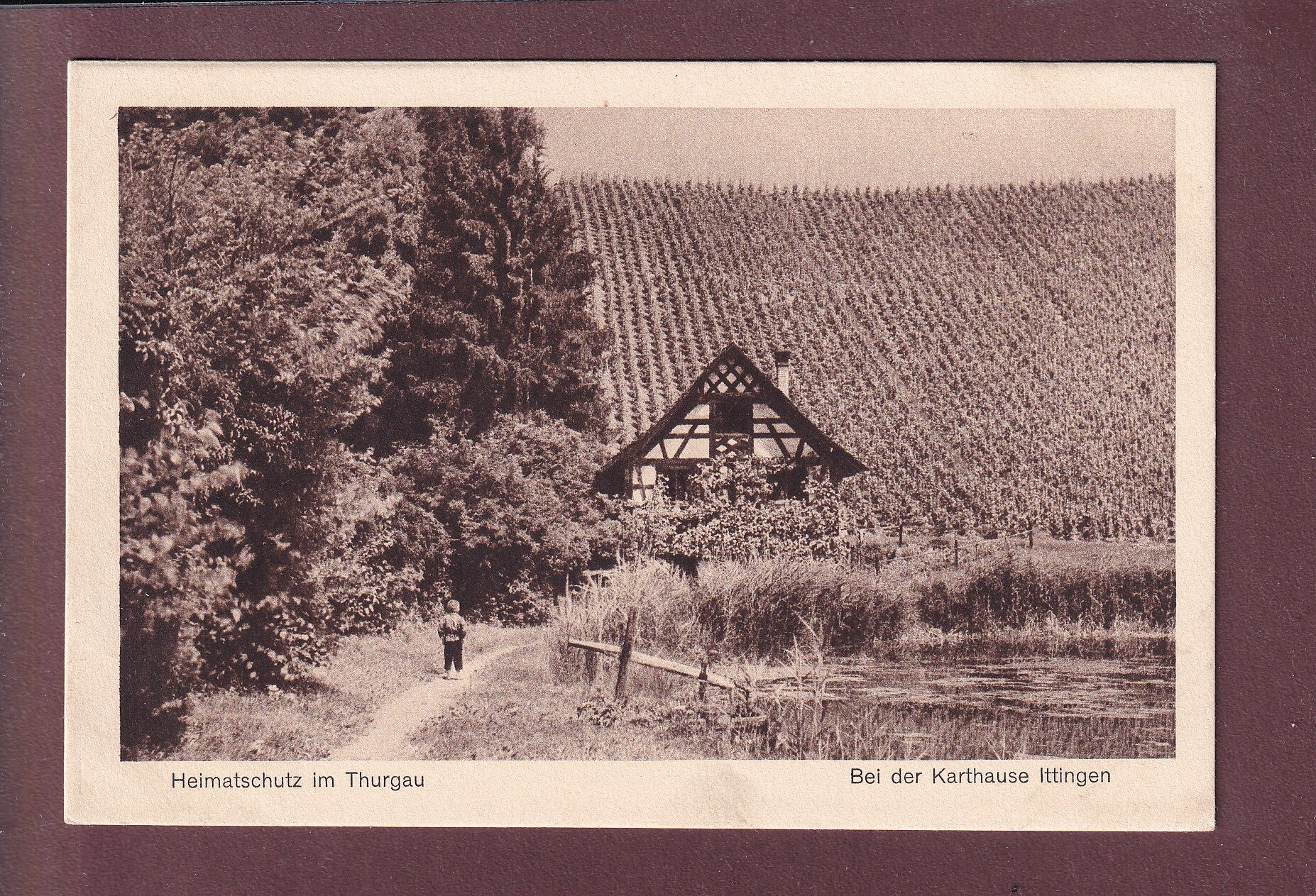 Thurgau - Bei der Karthause ITTINGEN