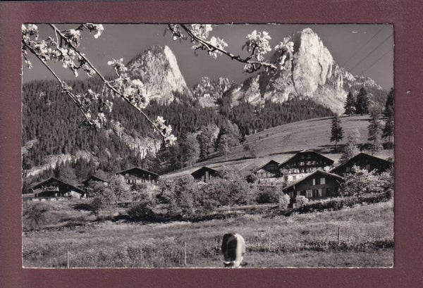 SCHWARZENMATT - Ferienheim Stocker - 1959