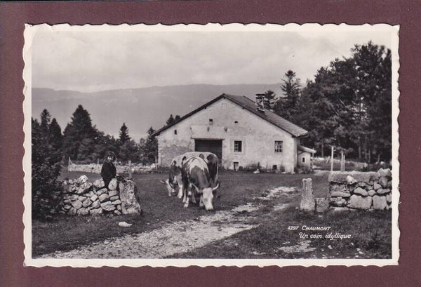 CHAUMONT - Un coin idyllique - Vaches - 1949