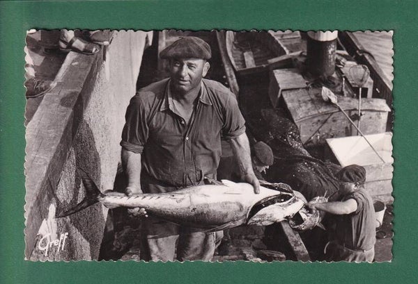 SAINT-JEAN-DE-LUZ - Retour de la Pêche - Thon