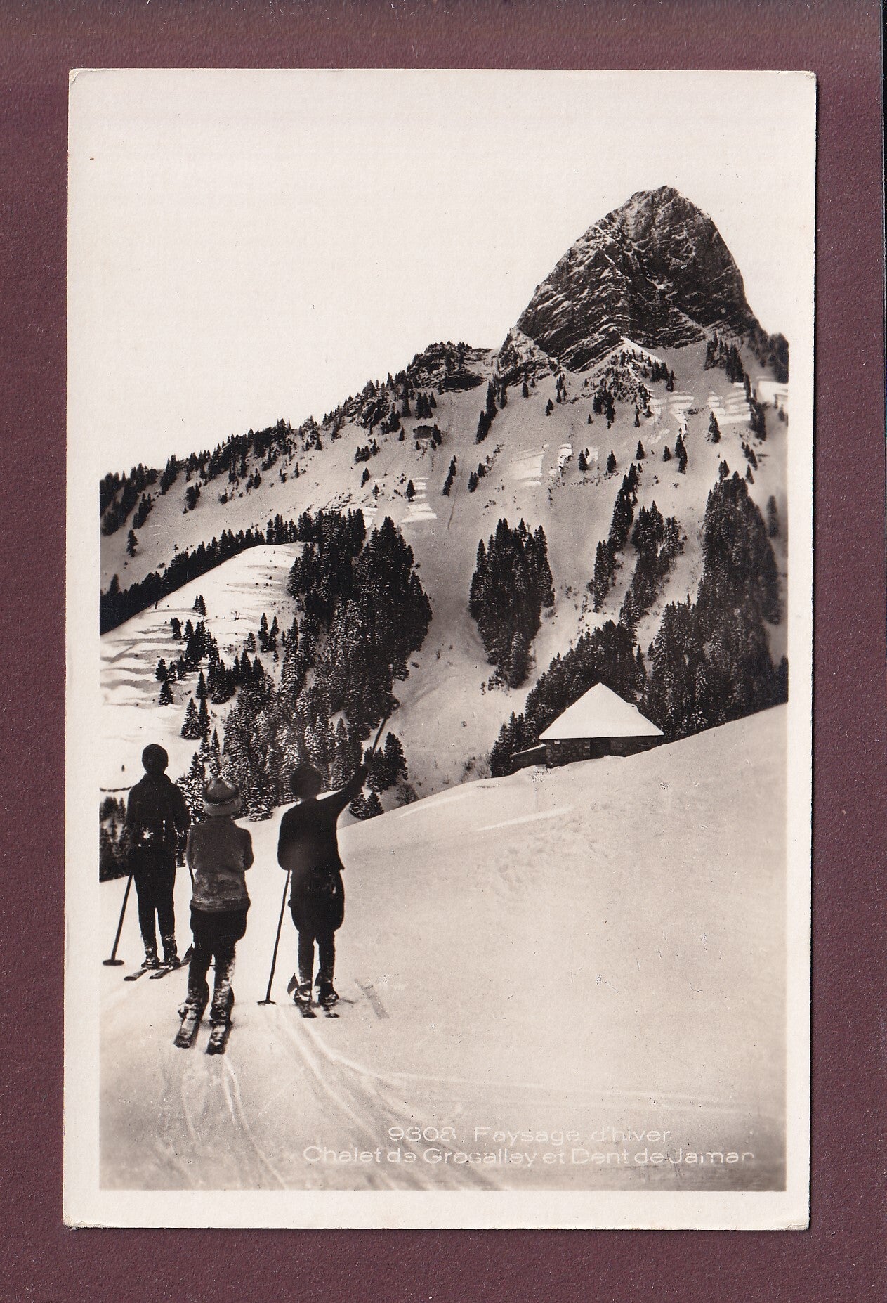Chalet de GROSALLEY et DENT DE JAMAN - Skieurs
