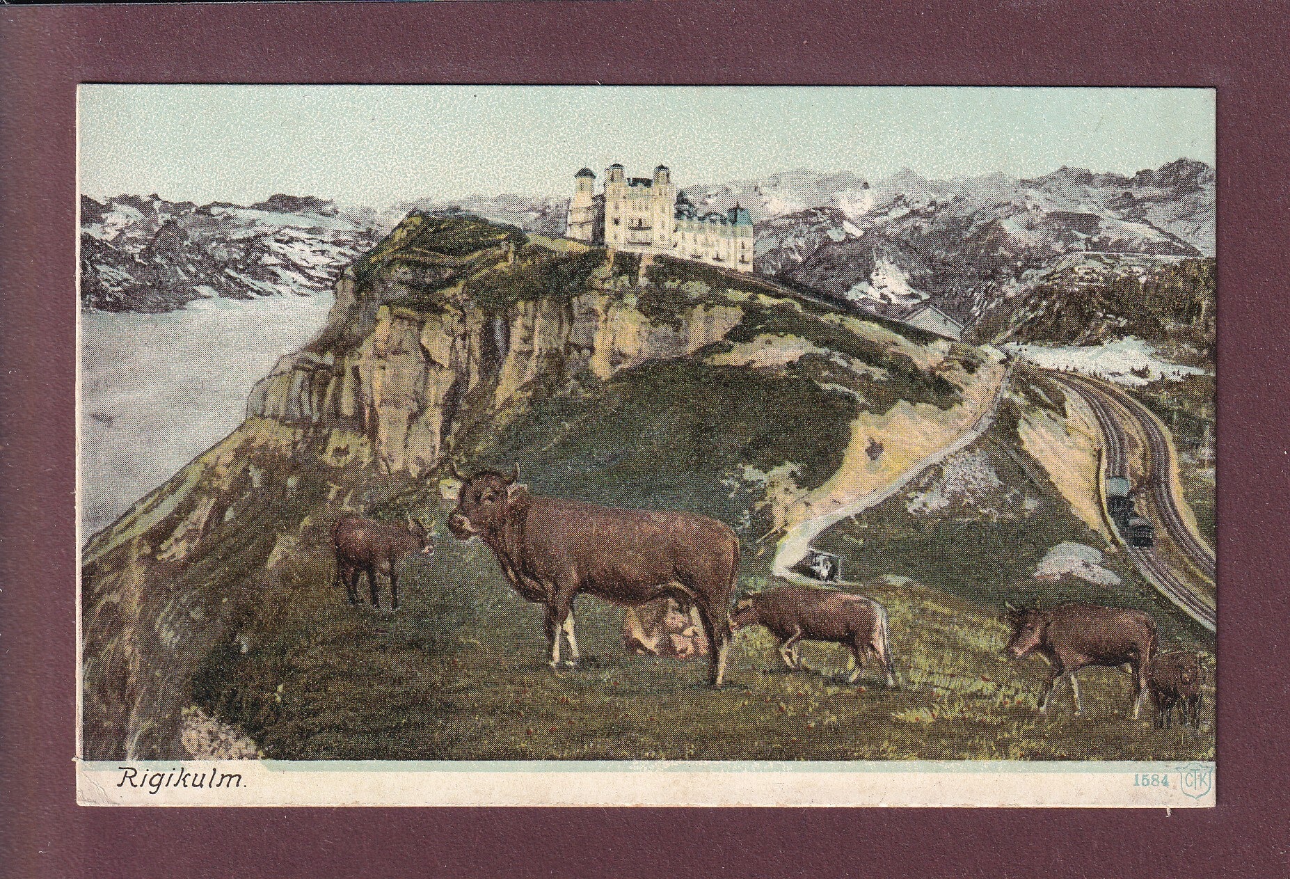 RIGI-KULM - Kühe