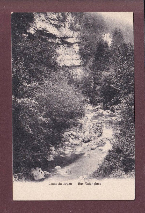 Cours du SEYON - Aux Valangines