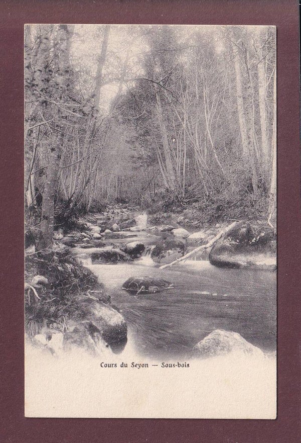 Cours du SEYON - Sous-bois