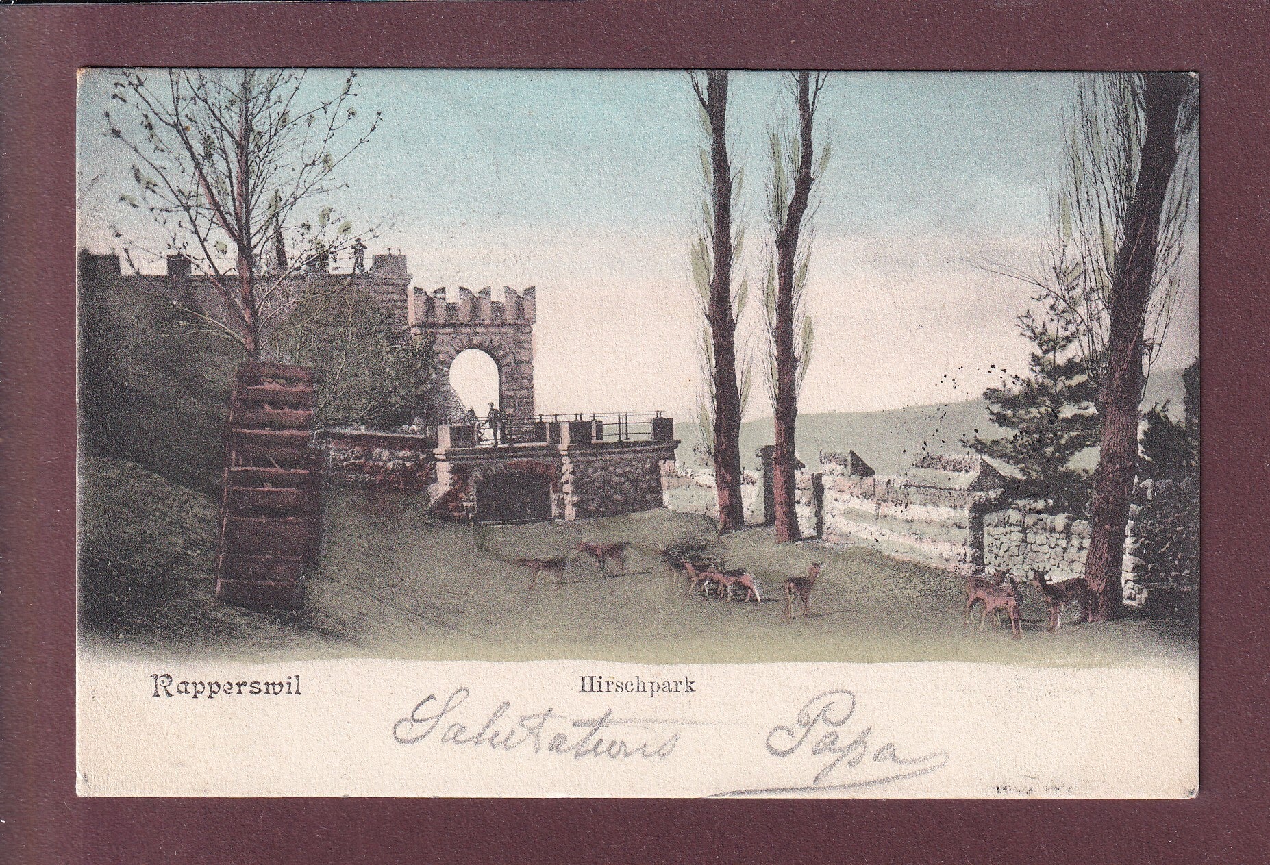 RAPPERSWIL - Hirschpark - 1906