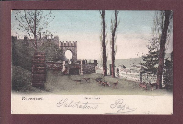 RAPPERSWIL - Hirschpark - 1906