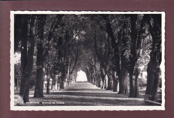 AUBONNE - Avenue du Chêne - 1960