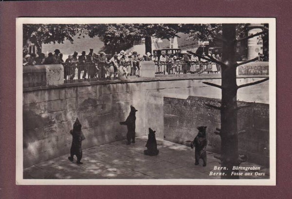 BERN - Bärengraben - 1932