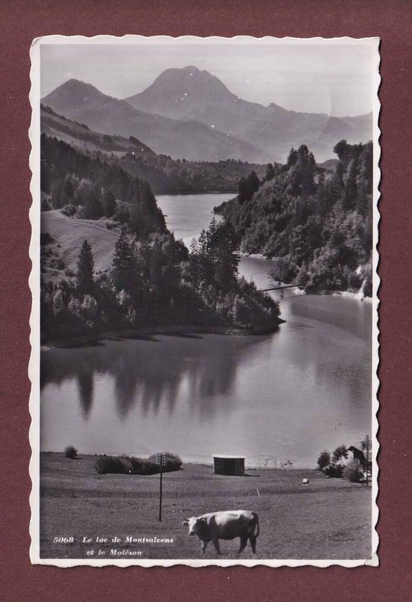 Lac de MONTSALVENS - Moléson - Vache - 1945