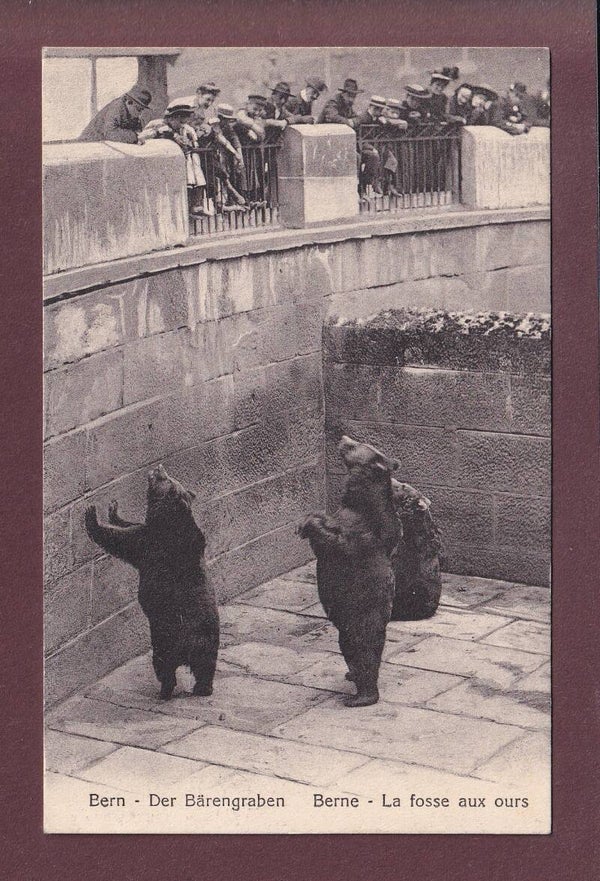BERN - Bärengraben - 1924