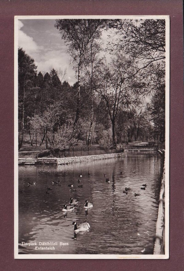 BERN - Tierpark Dählhölzli - Ententeich - 1940