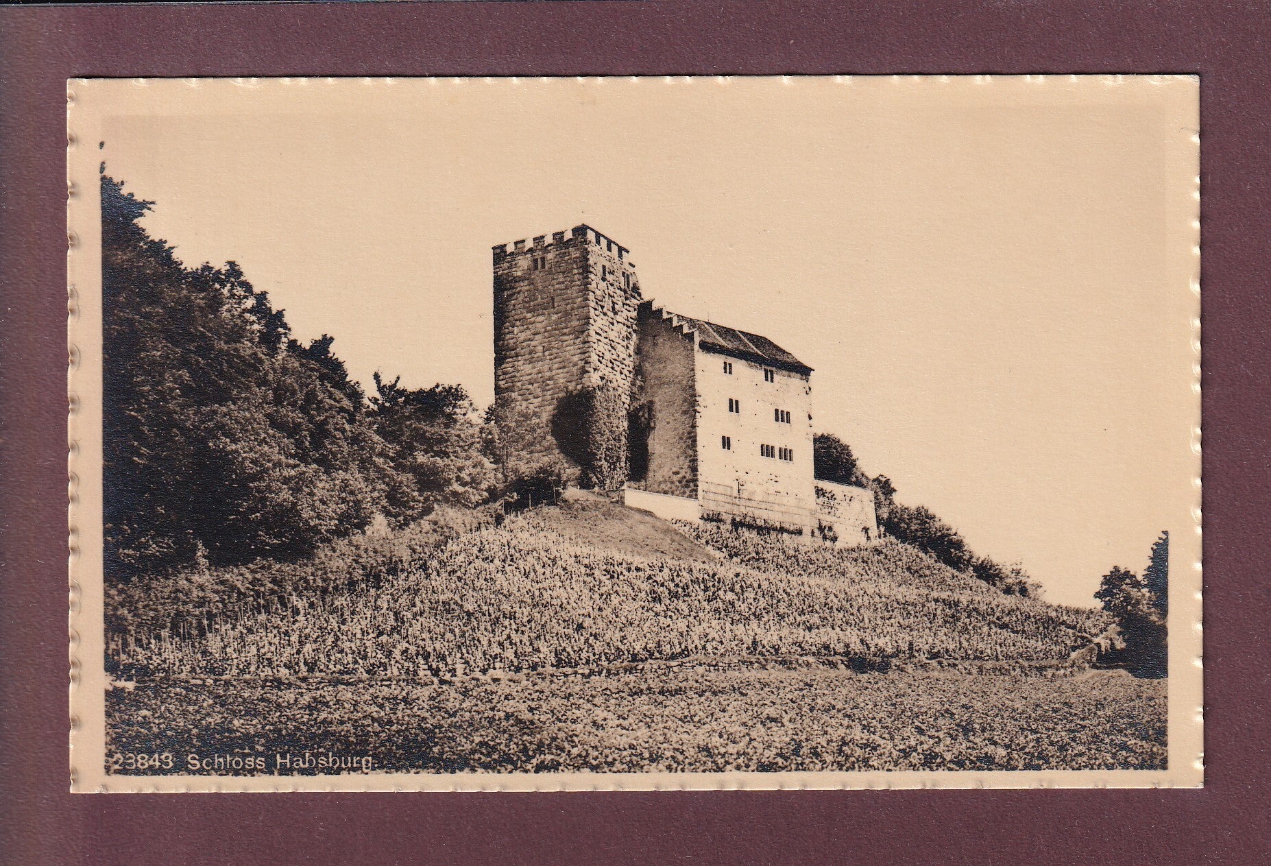 SCHLOSS HABSBURG