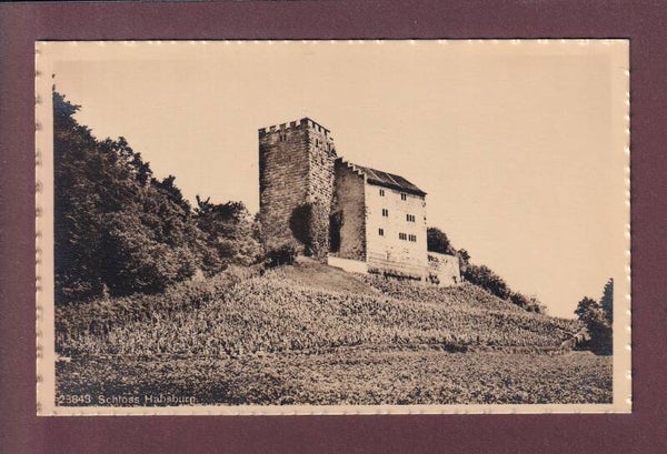 SCHLOSS HABSBURG
