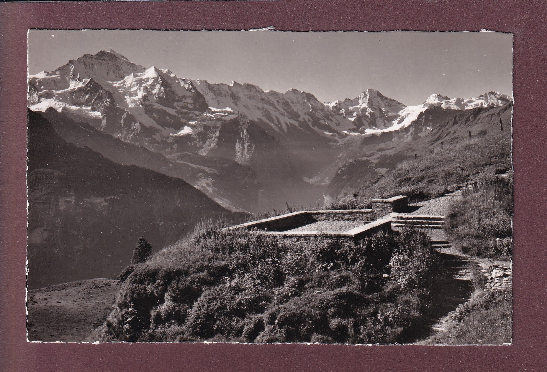 SCHYNIGE PLATTE - Alpengarten