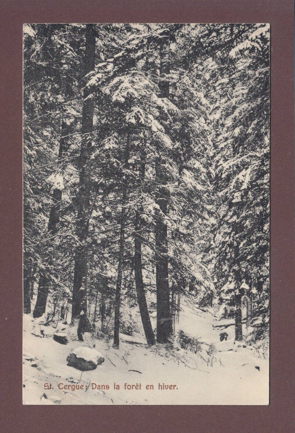 ST. CERGUE - Dans la forêt en hiver - 1910