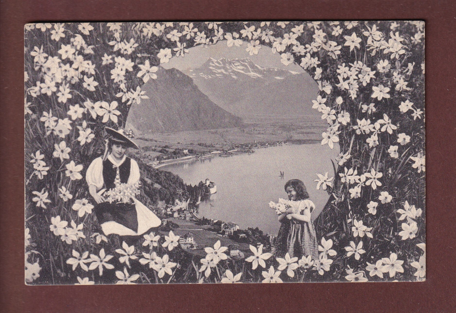 CHILLON - Dents du Midi - Narcisses