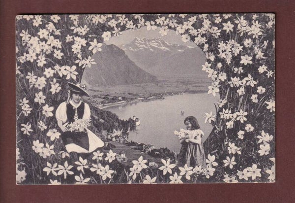 CHILLON - Dents du Midi - Narcisses