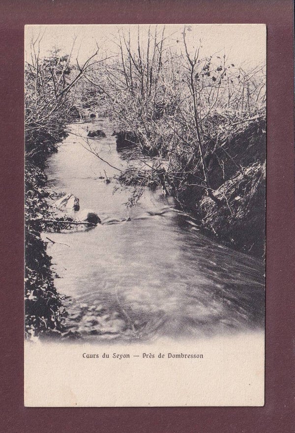Cours du SEYON - Près de Dombresson