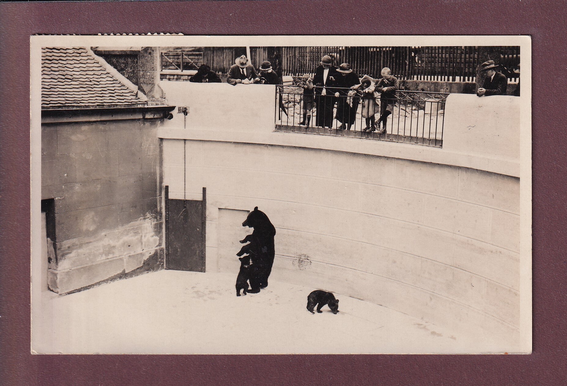 BERN - Bärengraben - 1937 Photo