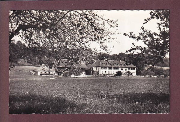 ST. PETERSINSEL - Restaurant Fam Stämpfli-Dubach - 1964