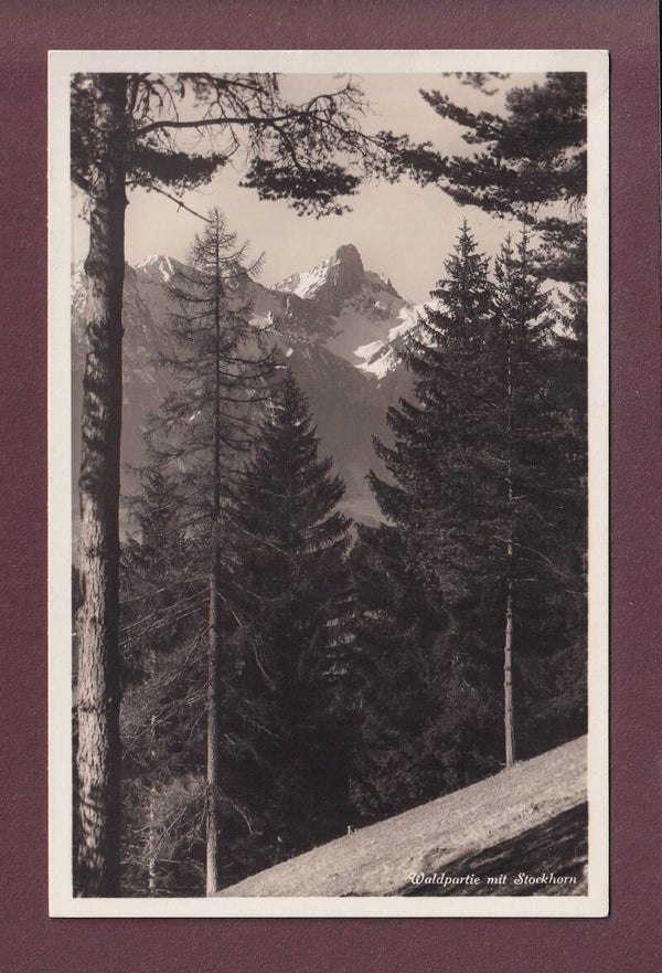 Waldpartie mit STOCKHORN - 1940