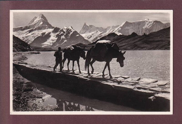 BACHALPSEE - Faulhornpost