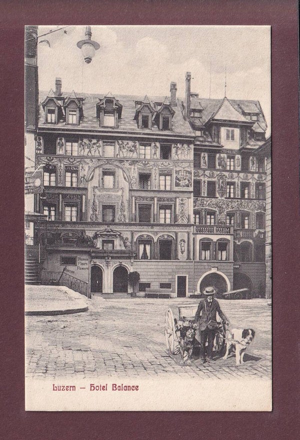 LUZERN - Hotel Balance - Hund Kutsche