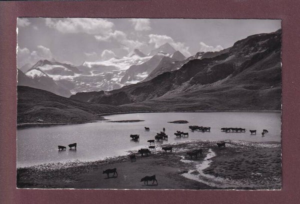 LAC DES AUTANNES au col du Torrent - Glacier de Moiry