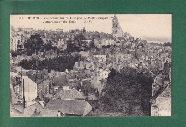 BLOIS - Panorama