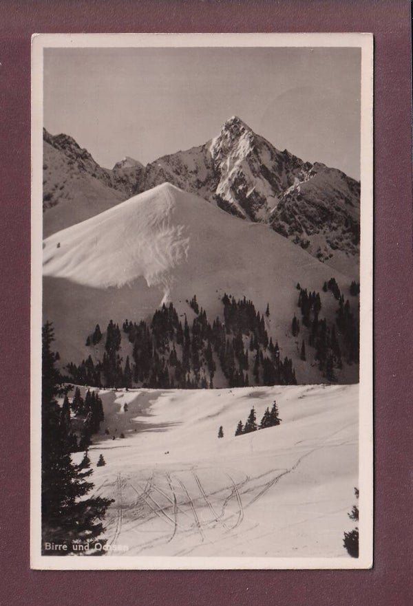 BIRRE und OCHSEN - 1951