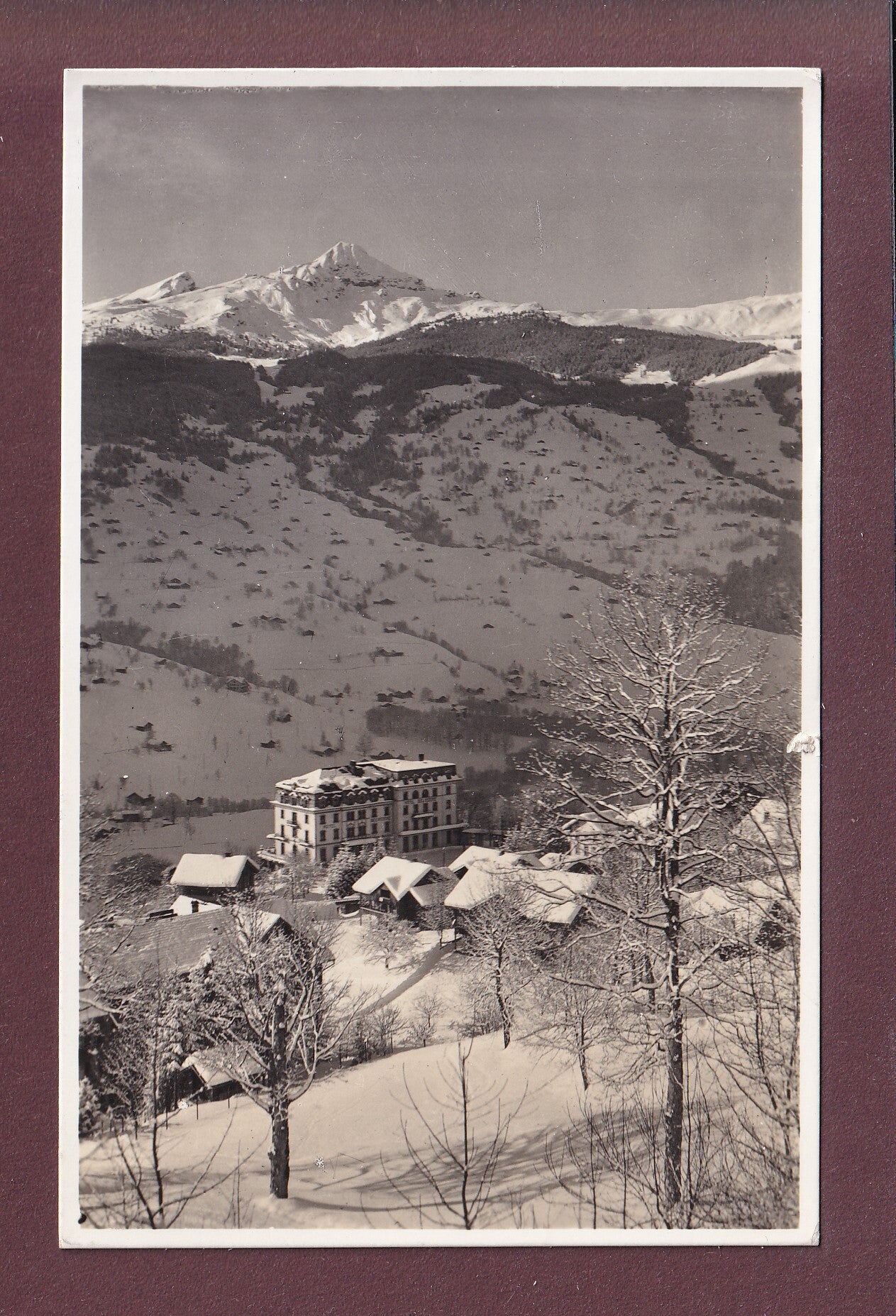 GRINDELWALD - Hotel Belvedere - 1946