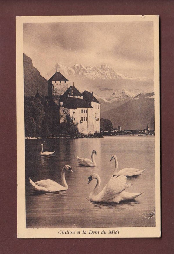 Château de CHILLON - Cygnes - 1909