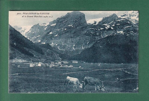 PRALOGNAN-LA-VANOISE - Grand Marchet - Vaches