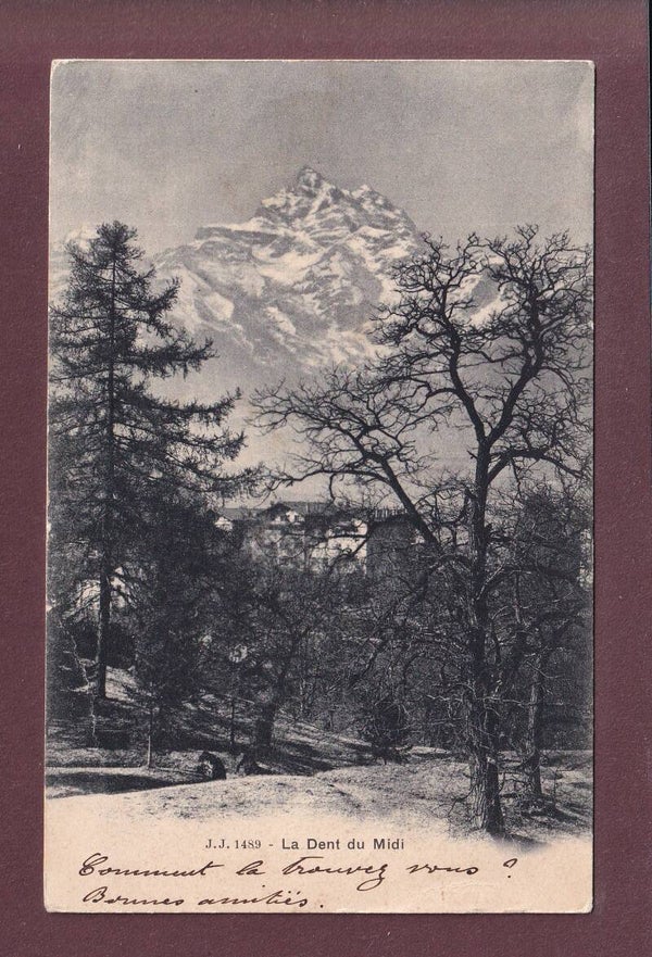 DENTS DU MIDI depuis Bex - 1902