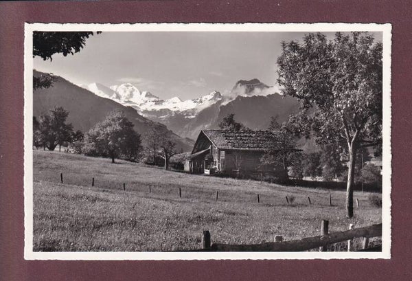 AESCHI - Blümlisalp