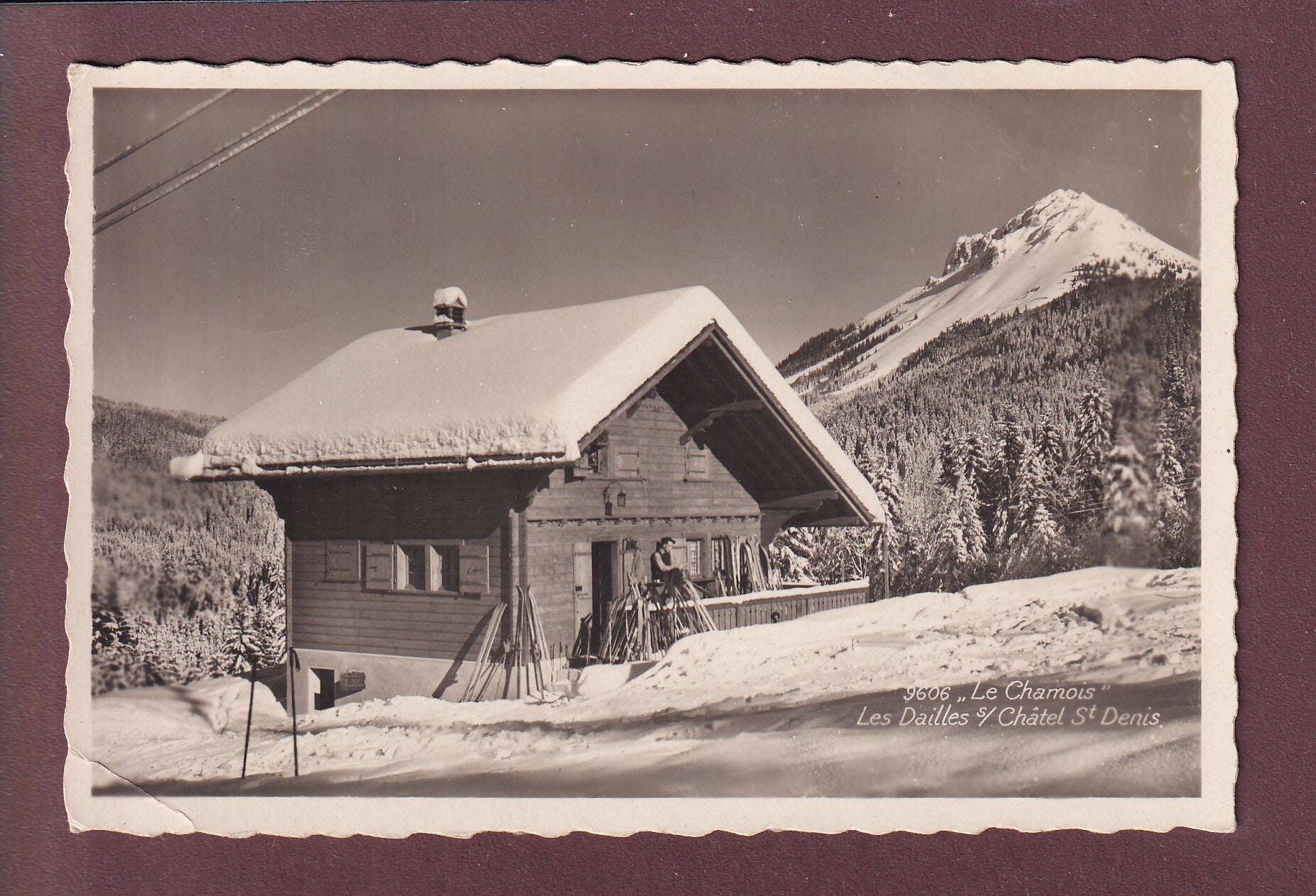 LES DAILLES sur Châtel St. Denis - Le Chamois