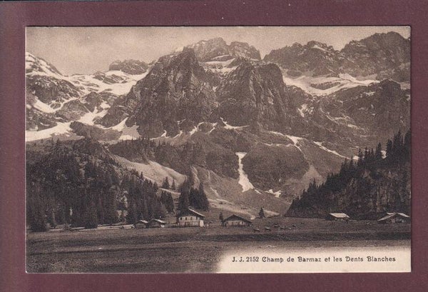 Champ de BARMAZ - Dents Blanches - 1917